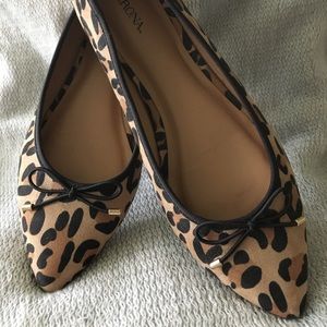 Chic Marona Leopard Print Flats